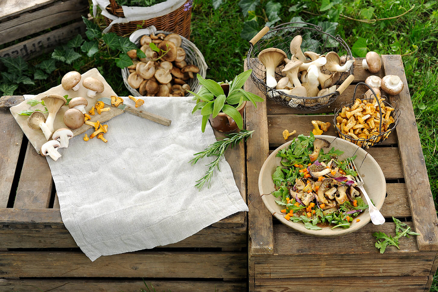 Pilze von Antje Plewinski Foodfotografie