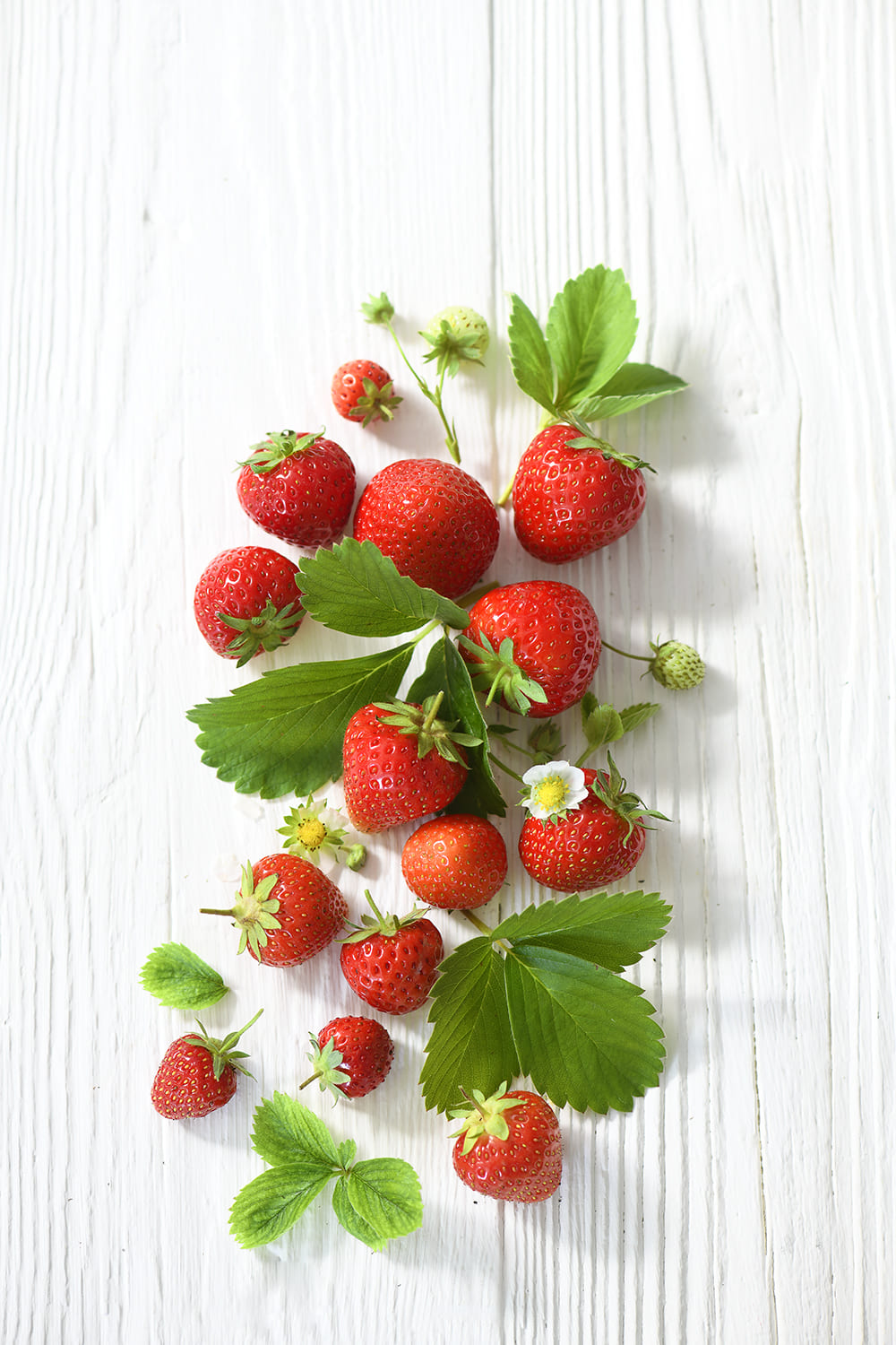 Erdbeeren von Antje Plewinski Foodfotografie